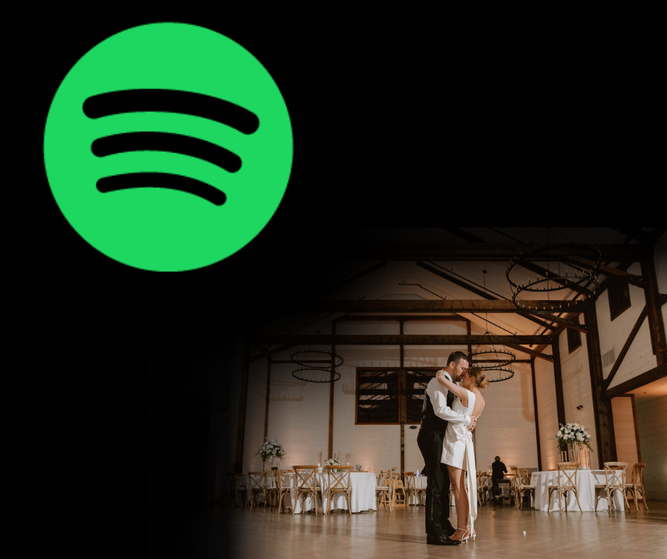 Professional wedding DJ at work